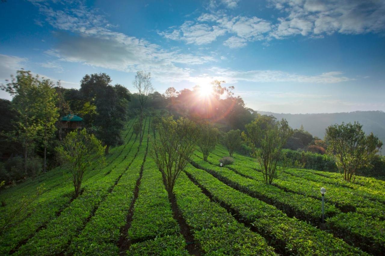 Sisiram River Side Munnar Ngoại thất bức ảnh